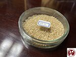 IMG_9005 (Copy)