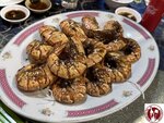IMG_7625- (Copy)