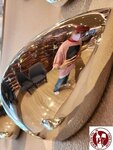 KVWF6219 (Copy)