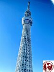 IMG_E5662 (Copy)