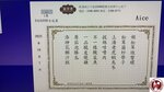 FMIJ3849 (Copy)