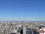 IMG_4372 (Copy)