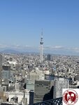 IMG_4378 (Copy)