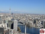 IMG_4390 (Copy)