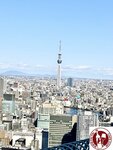 IMG_E4378 (Copy)