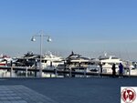 IMG_4238 (Copy)