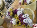 IMG_1894 (Copy)