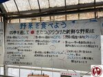 IMG_1900 (Copy)