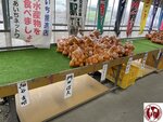 IMG_1905 (Copy)