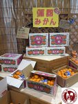 IMG_2355 (Copy)