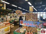 IMG_2356 (Copy)
