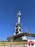 IMG_3449 (Copy)