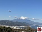IMG_3461 (Copy)
