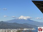 IMG_3462 (Copy)