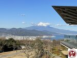 IMG_3463 (Copy)