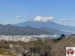 IMG_3467 (Copy)