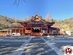 IMG_3745 (Copy)