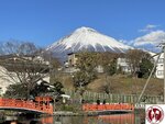 IMG_3753 (Copy)