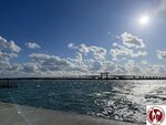IMG_2433 (Copy)