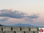 IMG_3123 (Copy)