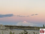 IMG_3124 (Copy)