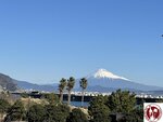 IMG_3241 (Copy)