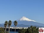 IMG_3242 (Copy)