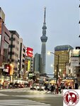 IMG_9429 (Copy)