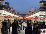 IMG_9434 (Copy)
