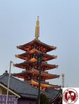 IMG_9446 (Copy)
