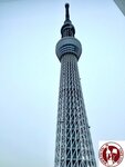 IMG_9397 (Copy)
