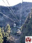 IMG_8553 (Copy)