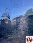 IMG_8554 (Copy)