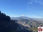 IMG_8559 (Copy)