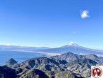 IMG_8565 (Copy)
