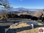 IMG_8590 (Copy)