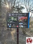 IMG_8610 (Copy)