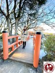 IMG_8616 (Copy)