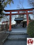 IMG_8619 (Copy)