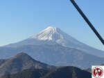 IMG_8628 (Copy)
