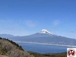 IMG_8920 (Copy)
