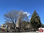 IMG_8494 (Copy)