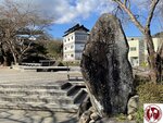 IMG_8851 (Copy)