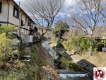 IMG_8868 (Copy)