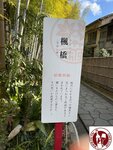 IMG_8869 (Copy)