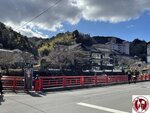 IMG_8915 (Copy)