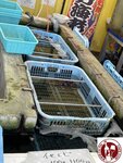IMG_8977 (Copy)