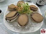 IMG_3287 (Copy)