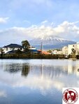 IMG_8233 (Copy)