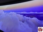 IMG_8247 (Copy)